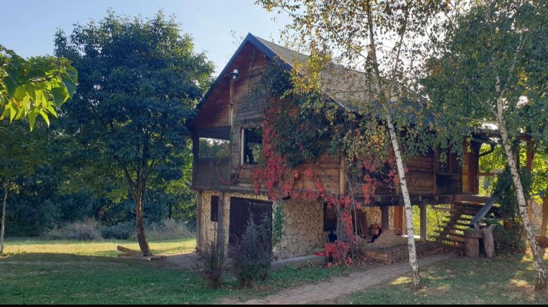 Log Cabin Belgrad Exterior foto